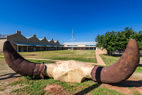 ICE Imaging Frontier Texas Parade Ground-12