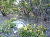 Another Unmoved Boulder