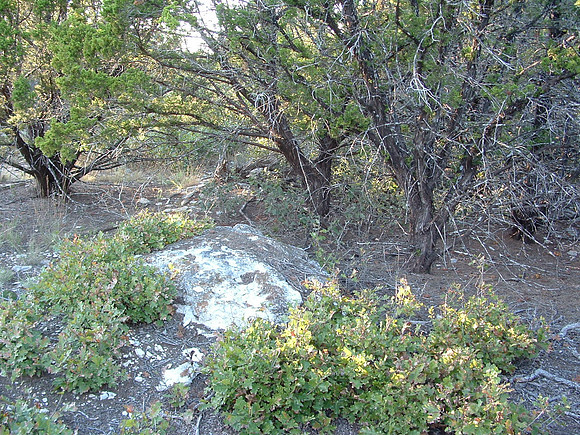 Another Unmoved Boulder