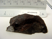 53 Gram keeper 0018