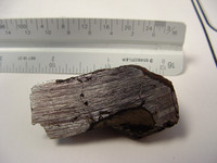 85 Gram UCLA 0015