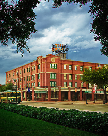 ICE Imaging Paramount