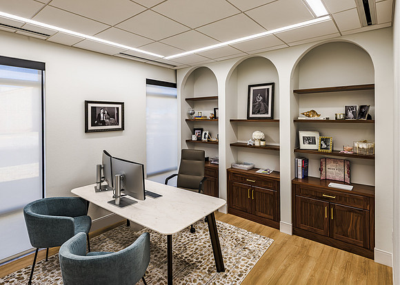 ICE IMAGING EMBODY - OFFICE - CROPPED
