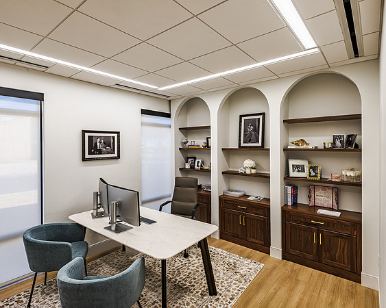 ICE IMAGING EMBODY - OFFICE