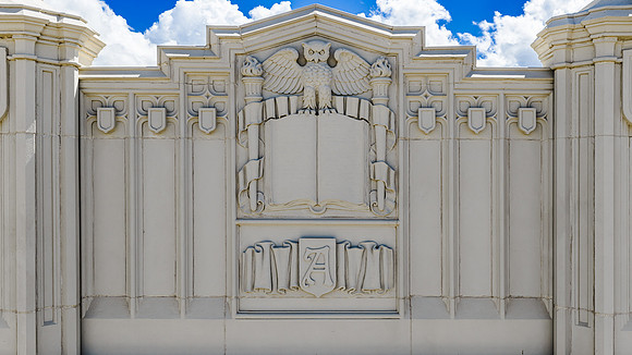 ICE IMAGING - AHS OWL RELIEF PANEL