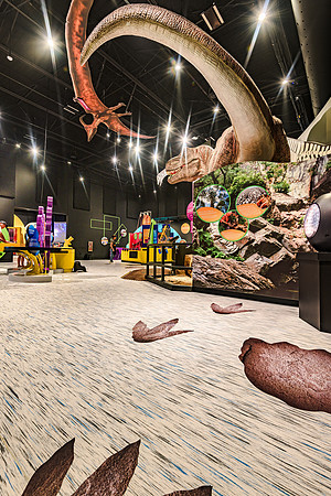 ICE Imaging-AHS-B110-129