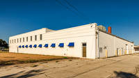 ICE Imaging-2701 Palm-140