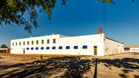 ICE Imaging-2701 Palm-180