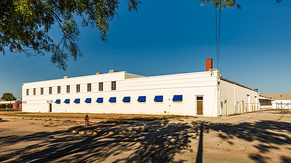 ICE Imaging-2701 Palm-180
