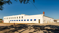 ICE Imaging-2701 Palm-108