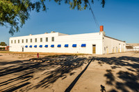 ICE Imaging-2701 Palm-196