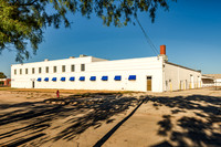 ICE Imaging-2701 Palm-204