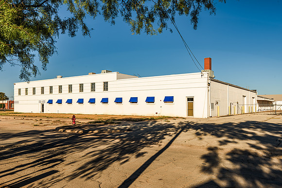 ICE Imaging-2701 Palm-204