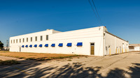 ICE Imaging-2701 Palm-132