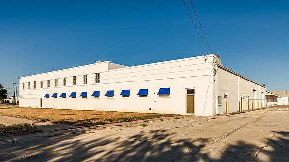 ICE Imaging-2701 Palm-132