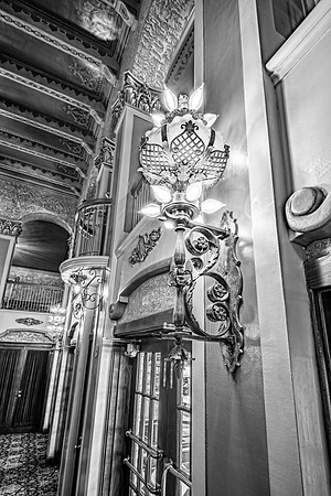 _ICE8262-Black and White