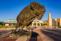 Ice Imaging -FTX Buffalo and Entry Portico