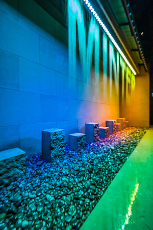 _ICE6561