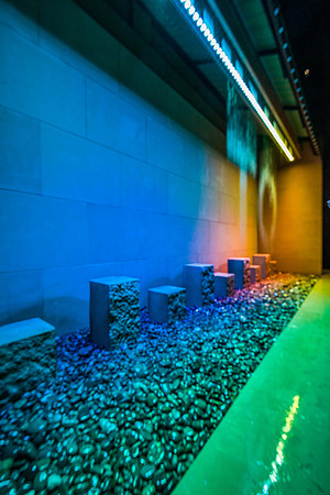 _ICE6559